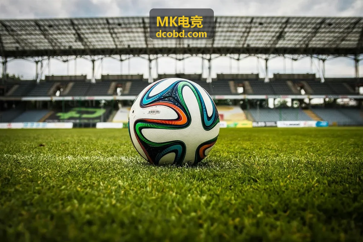 MK电竞项目封面图2
